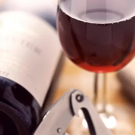 Hotell Paris Nord 2 Cdg Aeroport Roissy-en-France