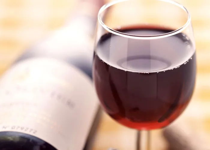 Paris Nord 2 Cdg Aeroport Hotel Roissy-en-France